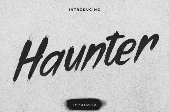 Haunter: A Bold and Brushed Display Font for Modern Designs